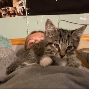 Meet your Posher, Riley